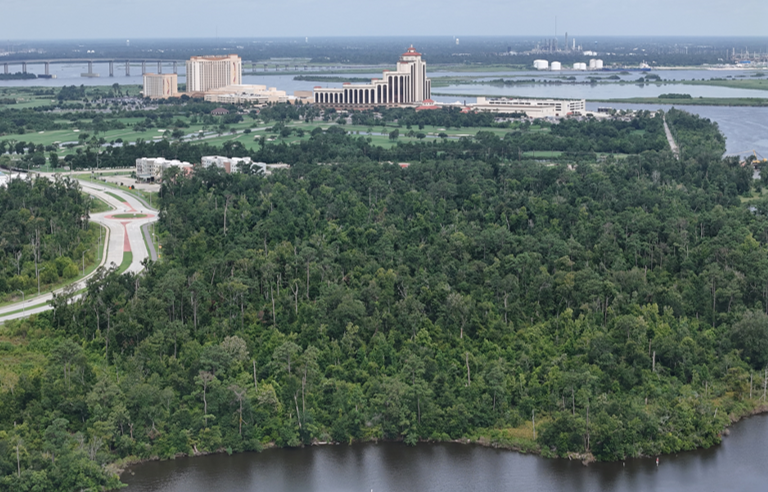 Drone Image Facing West from Bayou July 2024