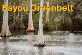 Bayou Greenbelt Image by Kathryn Shea Duncan